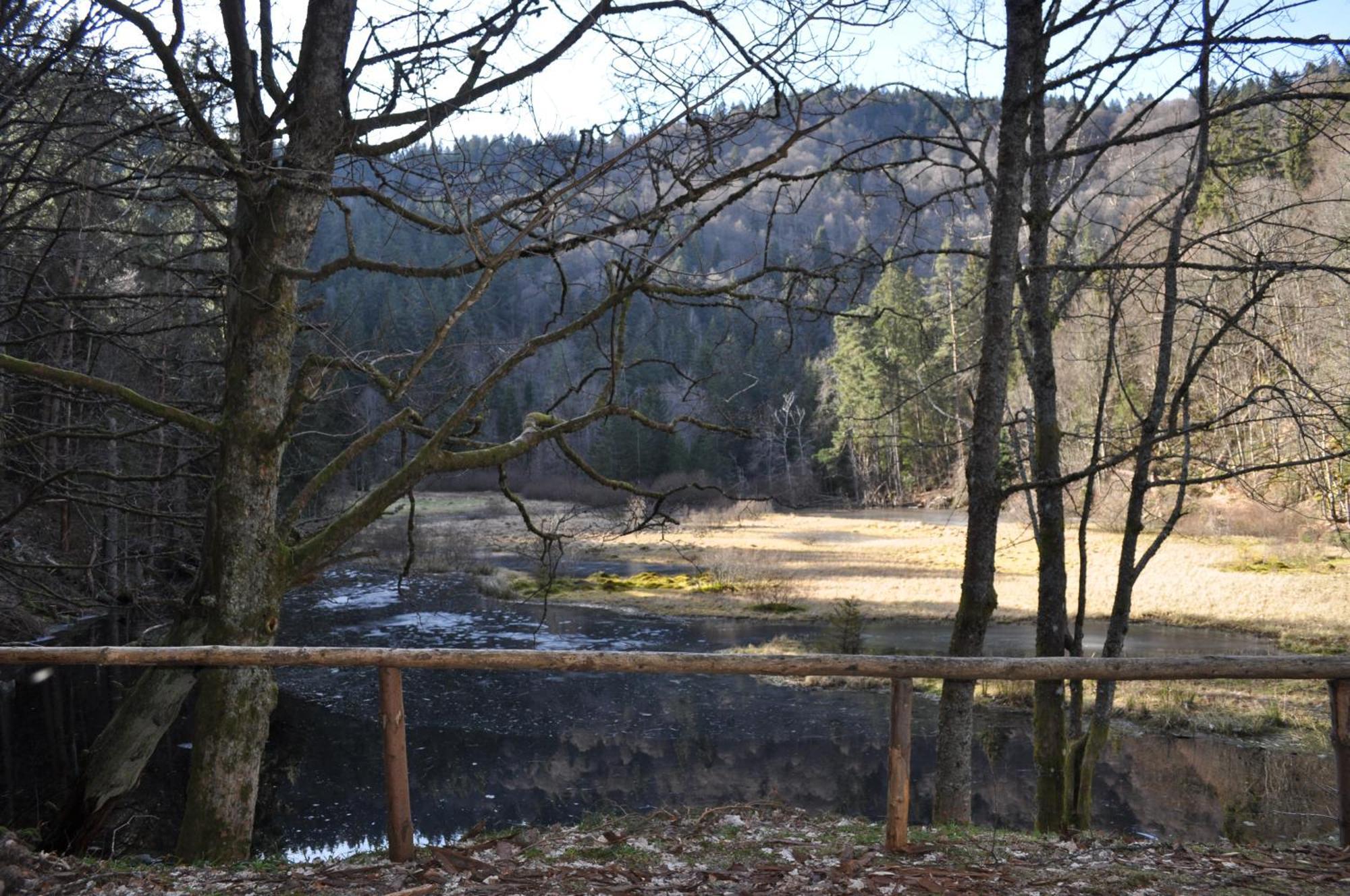 Auberge De L'Etang Du Devin Lapoutroie Kültér fotó